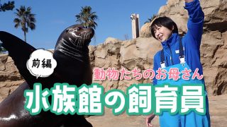 飼育員 20_中嶋_前編-320x180.jpg